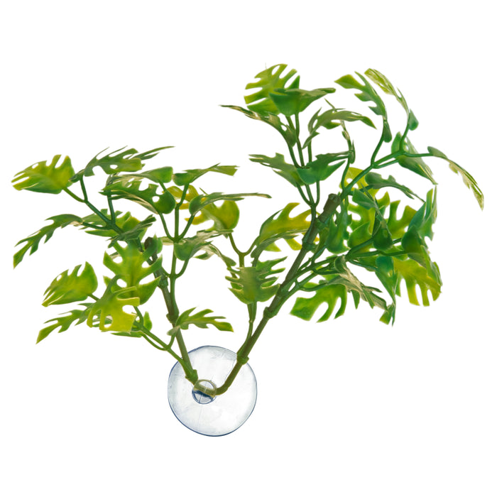 Zoo Med Betta Plant Window Leaf Green