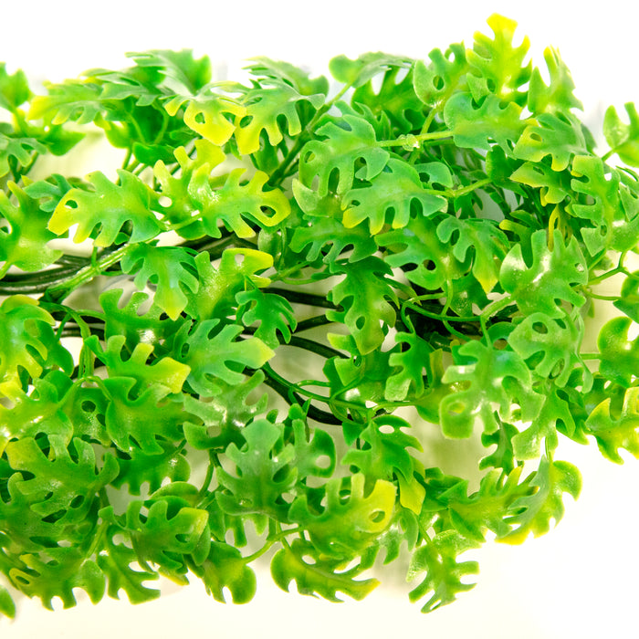 Zoo Med Natural Bush Amazonian Phyllo Plants Green 14in SM