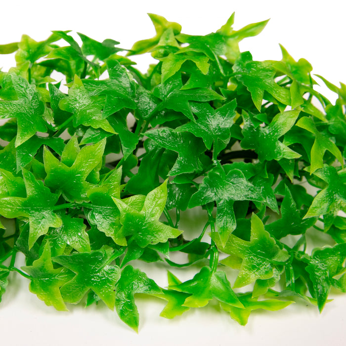Zoo Med Natural Bush Congo Ivy Plants Green 14in SM