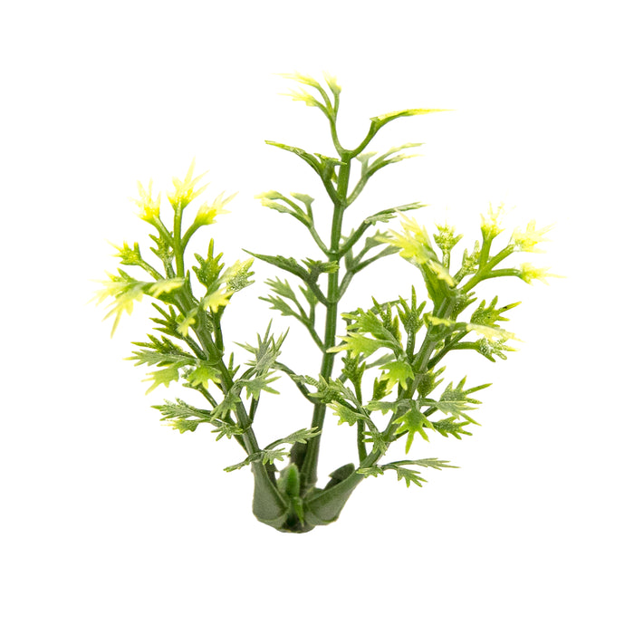 Zoo Med Natural Bush Australian Maple Plants Green 14in SM