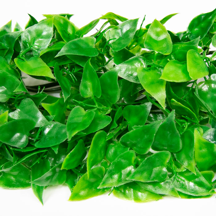 Zoo Med Natural Bush Mexican Phyllo Plants Green 18in MD