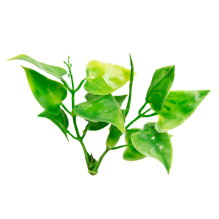 Zoo Med Natural Bush Mexican Phyllo Plants Green 22in LG