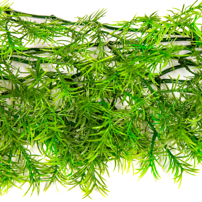 Zoo Med Natural Bush Cashuarina Plants Green LG