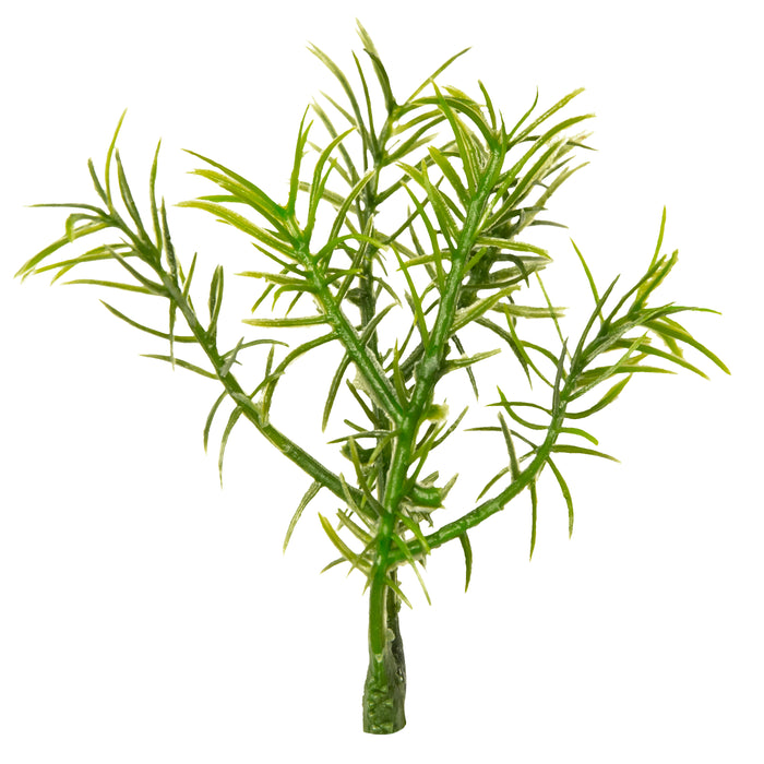 Zoo Med Natural Bush Cashuarina Plants Green LG