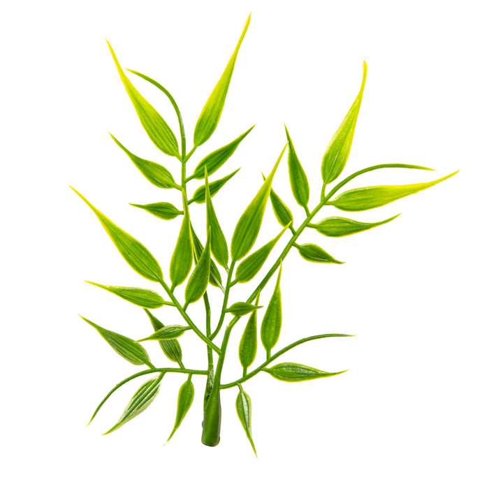 Zoo Med Natural Bush Madagascar Bamboo Plants Green 22in LG