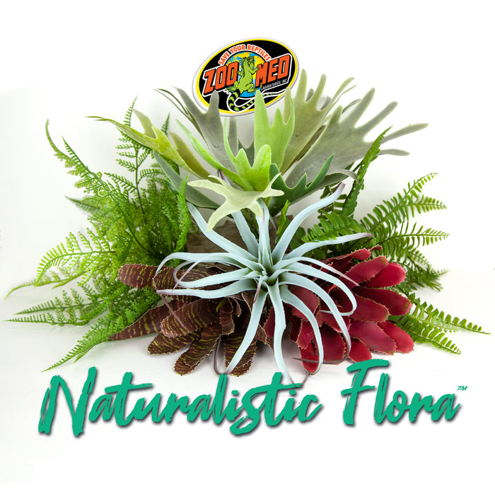 Zoo Med Naturalistic Flora Tillandsia Air Plant Terrarium Plant Gray, Tan