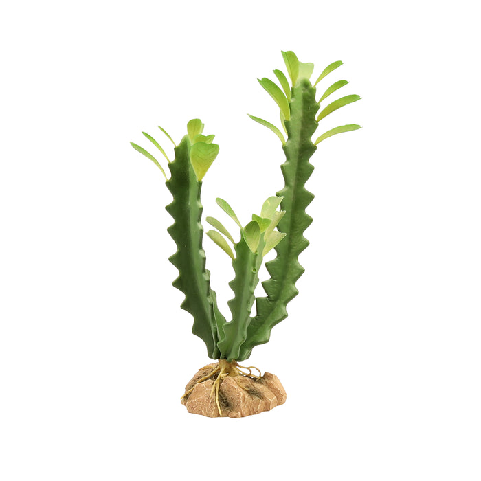 Zoo Med Desert Flora Plant Euphorbia One Size