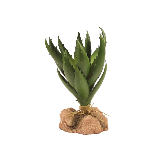 Zoo Med Desert Flora Plant Green Aloe One Size