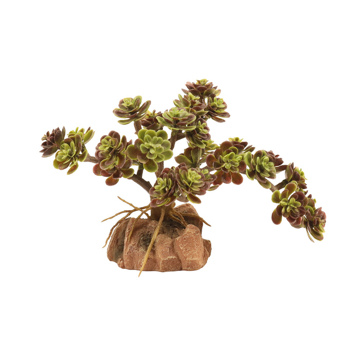 Zoo Med Desert Flora Plant Red Leaf Stonecrop One Size