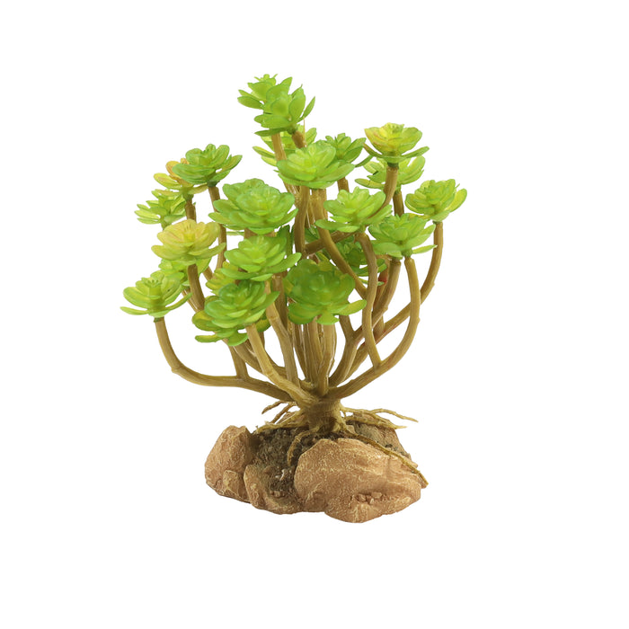Zoo Med Desert Flora Plant Tree Houseleek One Size