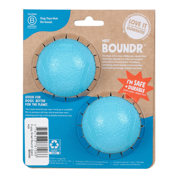West Paw Small Boundr 2-Pack Aqua Dog Toy