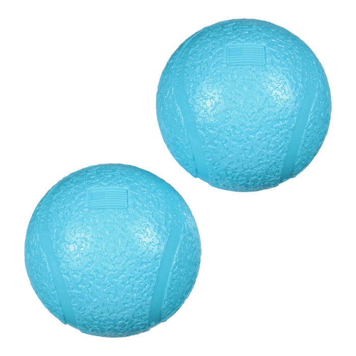 West Paw Small Boundr 2-Pack Aqua Dog Toy