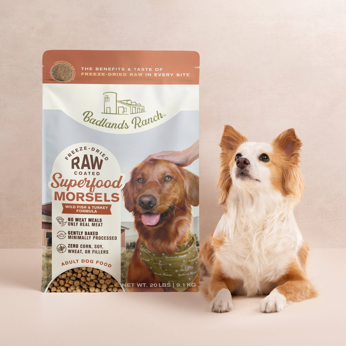 Badlands Ranch SFC Raw Coated Morsels Wild Fish 20lb — AnimalWiz.com