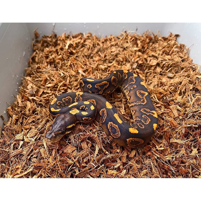 ReptiChip MicroChip Fine Ready to Use Coconut Chip Mix