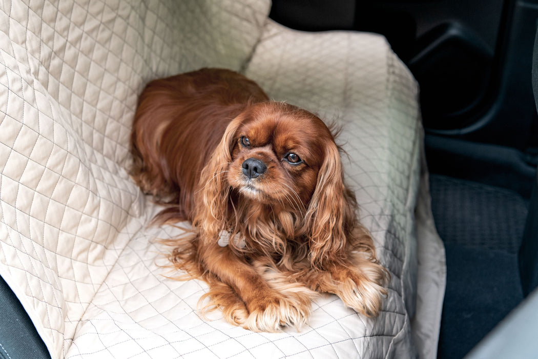 HuggleHounds TuffutLuxx® Vehicle Protectors for Travel
