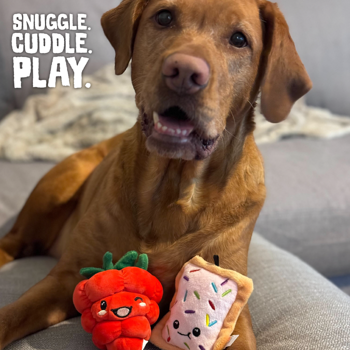 SnugArooz Poptart and Raspberry 2pk Plush Dog Toy