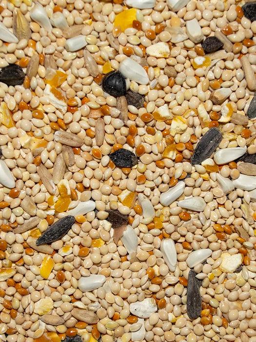 Volkman Seed Company Bird's Delight Cockatiel Fancy (Sunflower) Food 20 lb