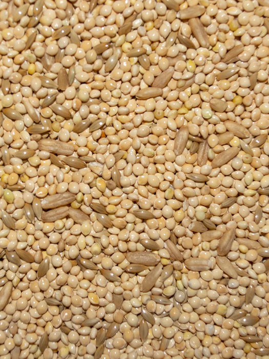 Volkman Seed Company Bird's Delight Parakeet 25% Food 20 lb