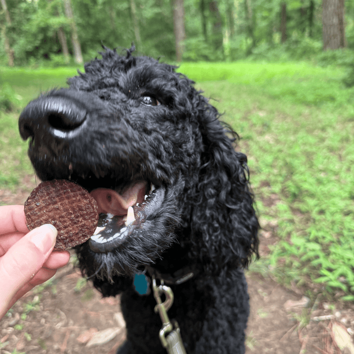 Farm to Pet Beef Chips Single-Ingredient Healthy Dog Treats