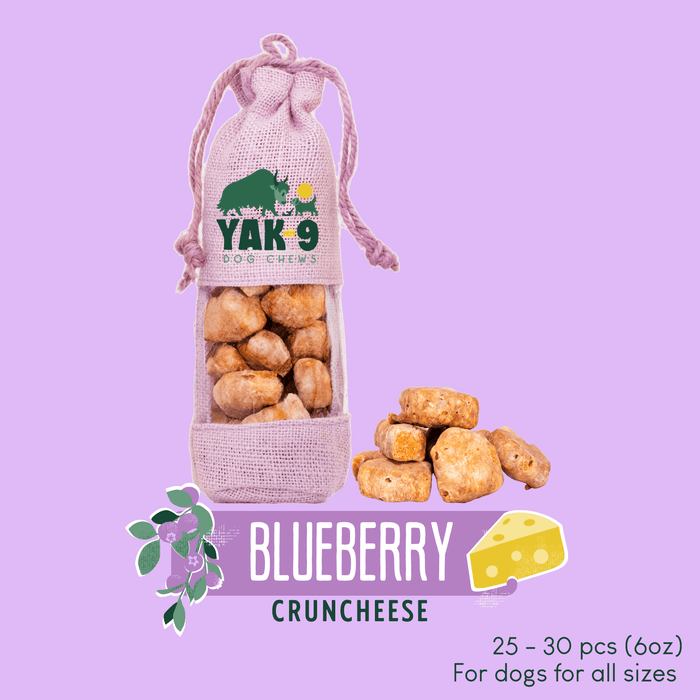Yak9 Chews CrunCheese Yak Cheese Treats for Dogs - 6 oz - Image 12