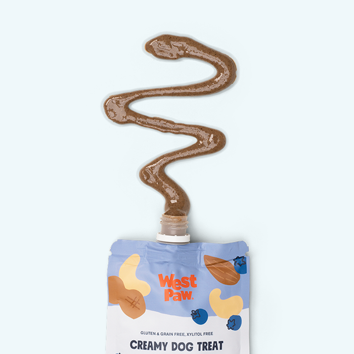 West Paw Nut Butter, Blueberry, and Chia Seed Dog Treats 6.2 oz