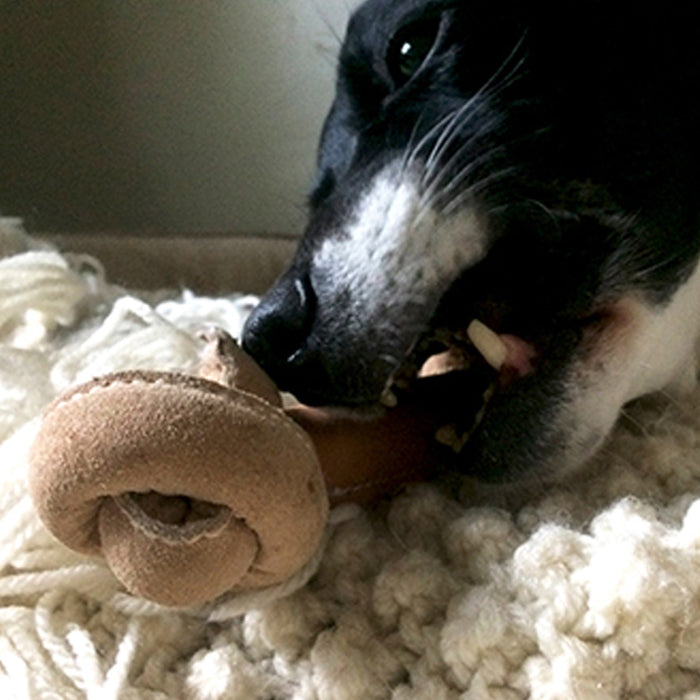 HuggleHounds Huggle-Hide® Natural Leather Bone Dog Toy, 3 Pack