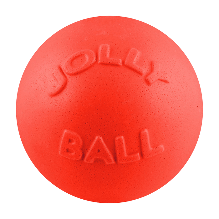 Jolly pets Bounce-n-Play