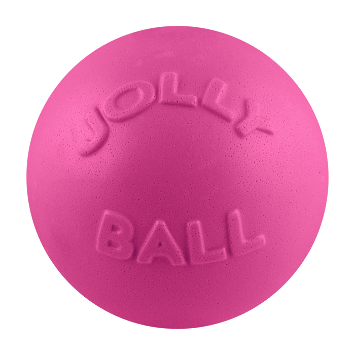 Jolly pets Bounce-n-Play