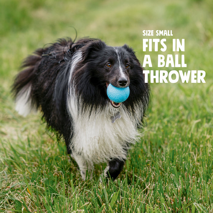 West Paw Boundr Dog Toy
