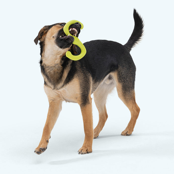 West Paw Bumi Dog Toy