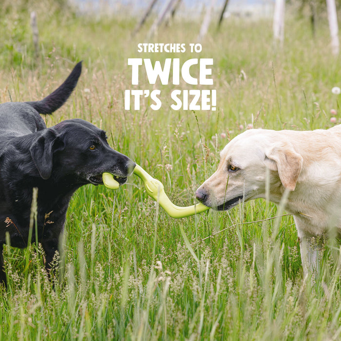 West Paw Bumi Dog Toy