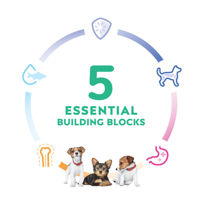 Hill's Science Diet Puppy Small Paws Chicken Meal, Barley & Brown Rice Recipe Dry Dog Food