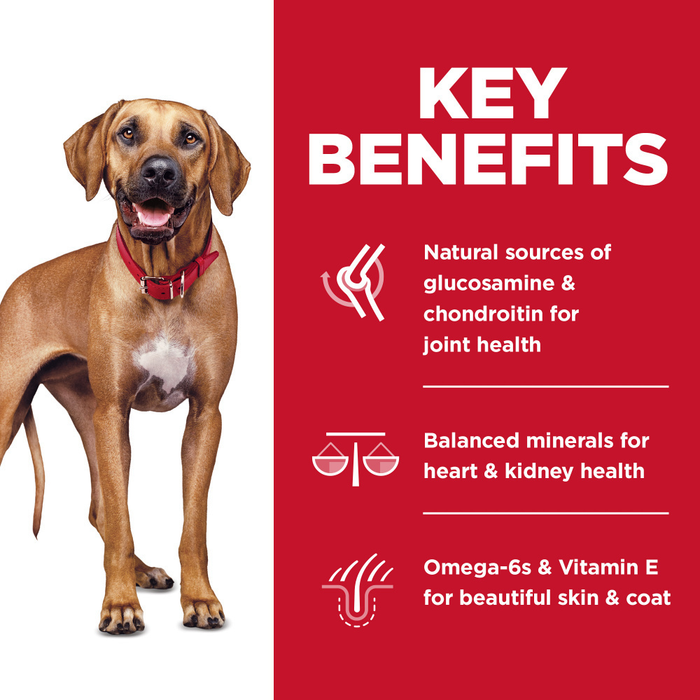 Hill's Science Diet Adult 6+ Large Breed No Corn, Wheat, or Soy Chicken & Brown Rice Recipe Dry Dog Food