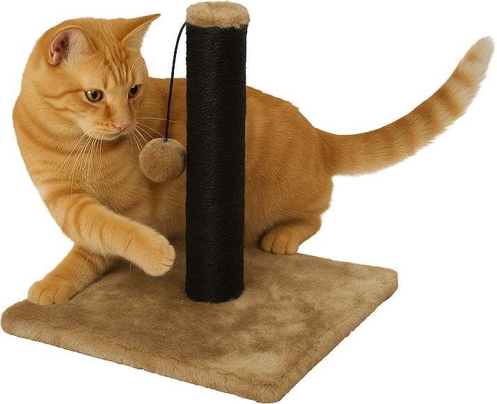 A&E cage Pampurred Paws Purrfect Post