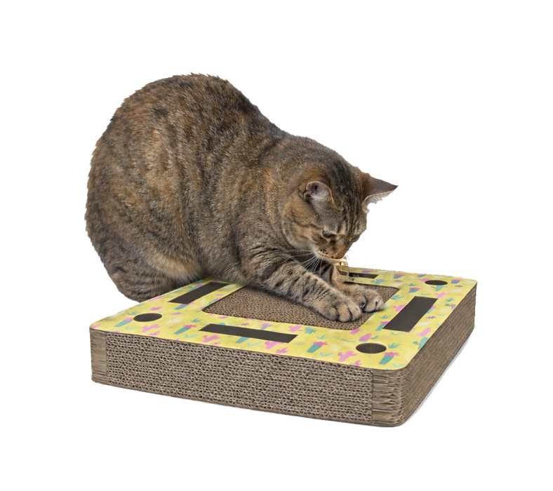 A&E Cage Company Pampurred Paws Cat Scratcher with Track Ball 12.6"x12.6"x2.36" (Square Track Maze)