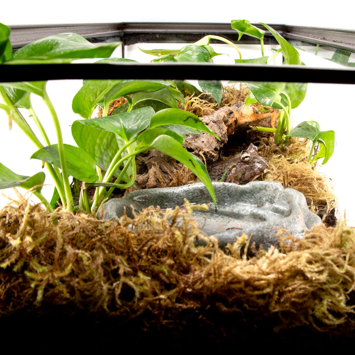 Zoo Med Terrarium Moss Substrate Green 10gal MD