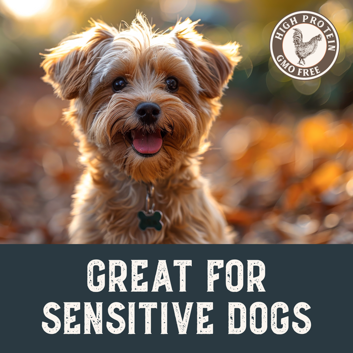Health Extension Grain-Free Chicken Tenders Dog Treats - 5 - Image 10