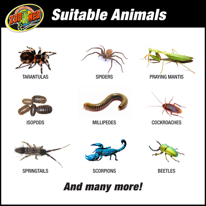 Zoo Med Creatures Habitat Starter Kit