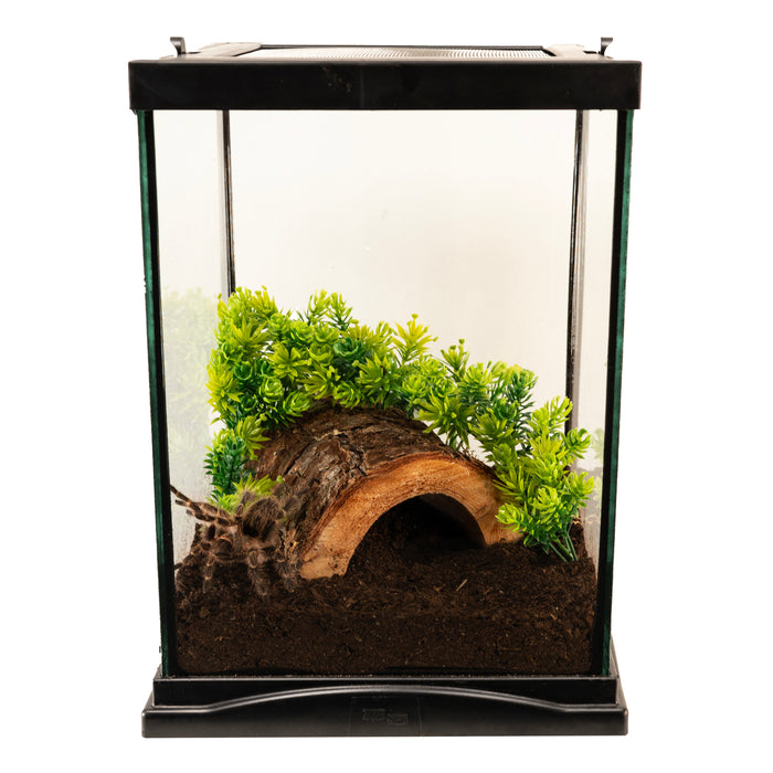 Zoo Med Creatures Habitat Starter Kit