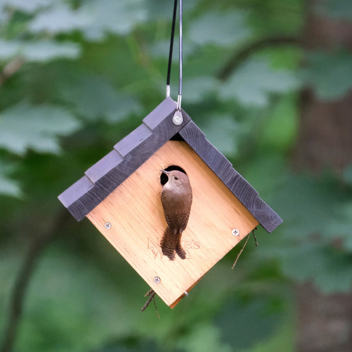 Nature's Way Bird Products Traditional Cedar Wren House, 8 x 8.875 x 8.125 inches
