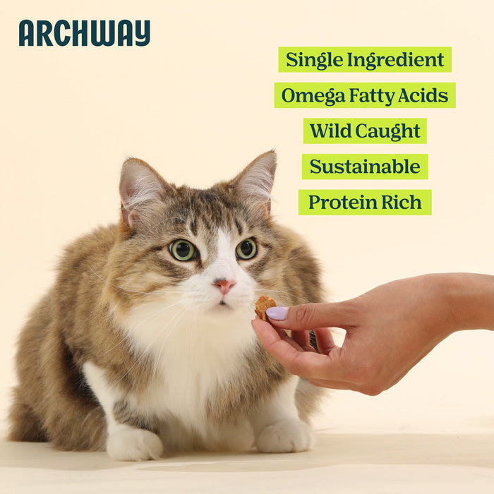 Archway Silver Carp Cat Treats 2.5 oz
