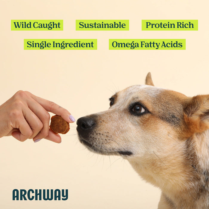 Archway Silver Carp Dog Treats 2.5 oz