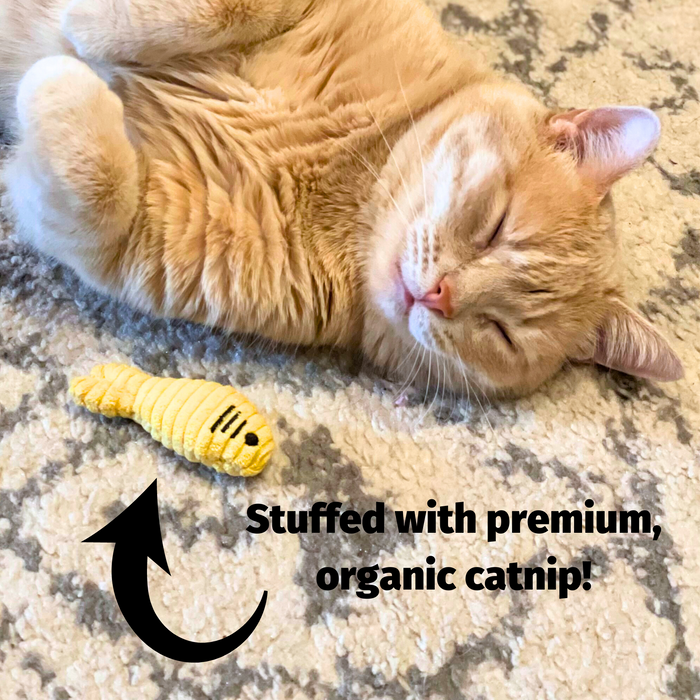 HuggleHounds HuggleKats® Wee Chippie and His Acorn Cat Toy Set