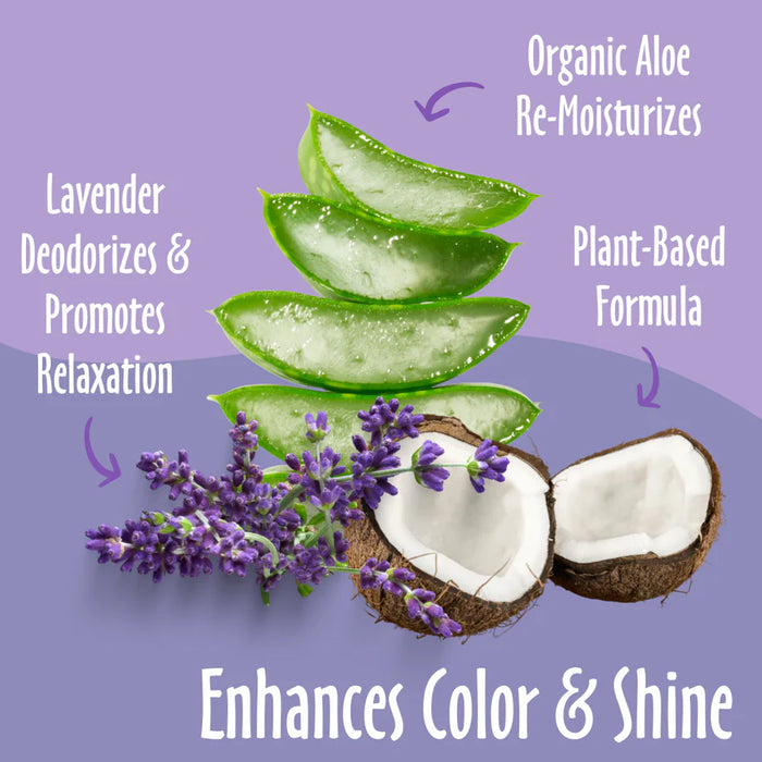 Earthbath Coat Brightening Shampoo, Lavender 16oz