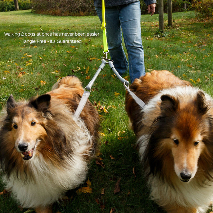 WACKYstore 2 Dogs on 1 Leash - CRAZYcoupl'r