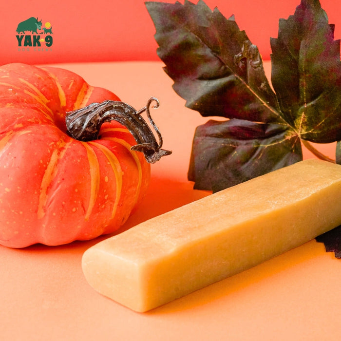 Yak9 Chews Pumpkin Cheese Chews for Dogs - 2 - Image 25