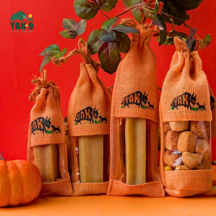 Yak9 Chews Pumpkin Cheese Chews for Dogs - Image 25