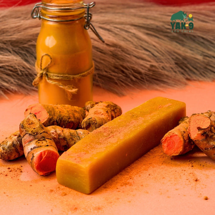 Yak9 Chews Turmeric Cheese Chews for Dogs - 2 - Image 27