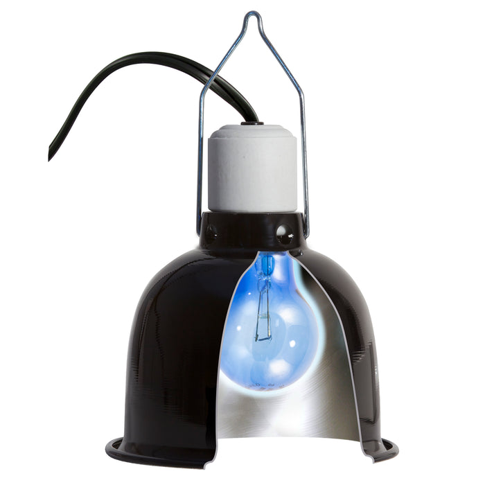 Zoo Med Daylight Blue Reptile Bulb Blue 60 Watt 2 Pack