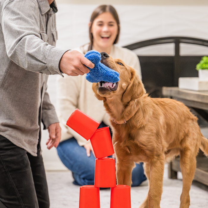 West Paw The Dog's Best Friend Game